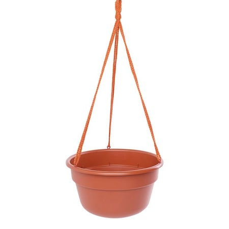 Bloem Bloem Dura Cotta 6.8 in. H X 12.5 in. W X 12.4 in. D Resin Hanging Basket Terracotta Clay DCHB12-46